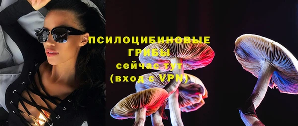 PSILOCYBIN Алексин
