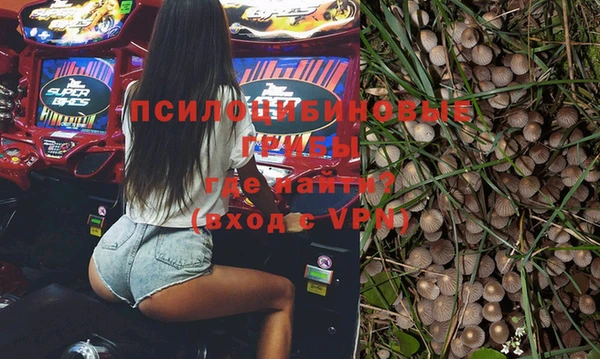 прущая мука Алзамай